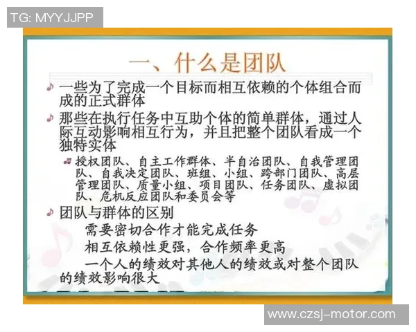 数据分析揭示V5团队协作表现的优势与改进空间
