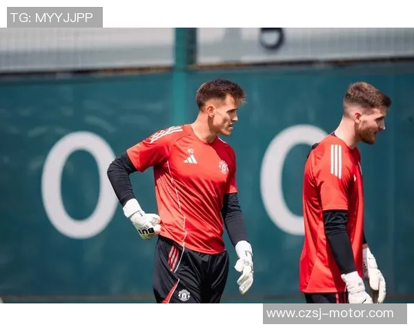 林茨对曼联全场精彩回顾与赛后分析，谁能在欧战中笑到最后